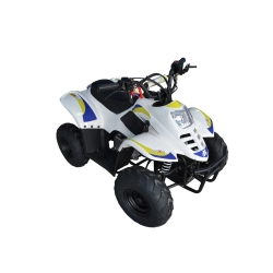 Quad Maxxon FX110